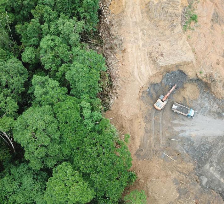 Deforestation aerial photo