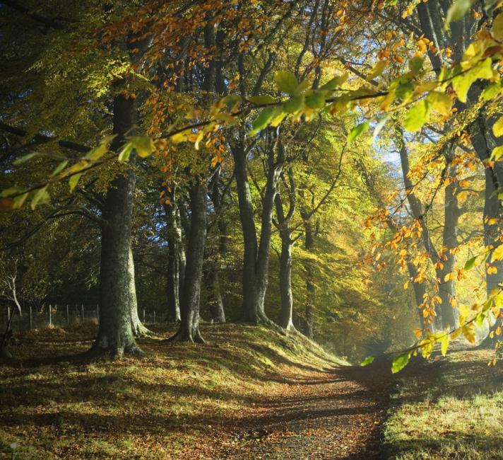 Scotland in Autumn