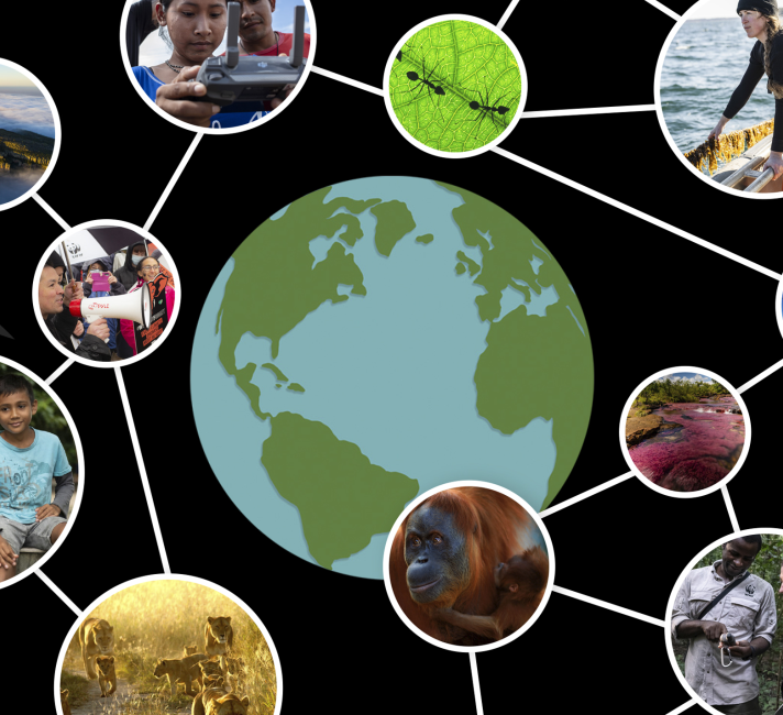 Living planet Report 2022 cover - globe surrounded by photos of wildlife and people