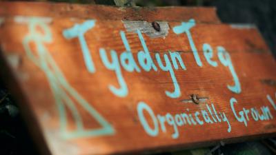 The farm sign of Tyddyn Teg in north Wales.