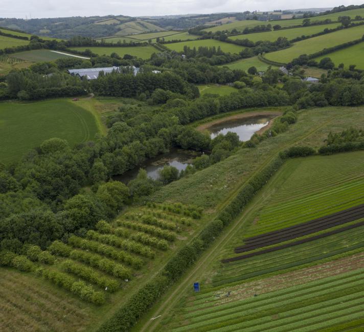 Riverford Farm in Devon