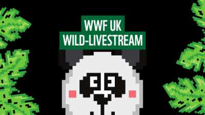 WWF LIVESTREAMING & GAMING