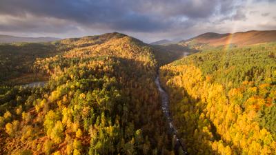 River Affric and autumnal pine and birch woodland, Glen Affric, Highland, Scotland, UK River Affric and autumnal pine and birch woodland, Glen Affric, Highland, Scotland, UK