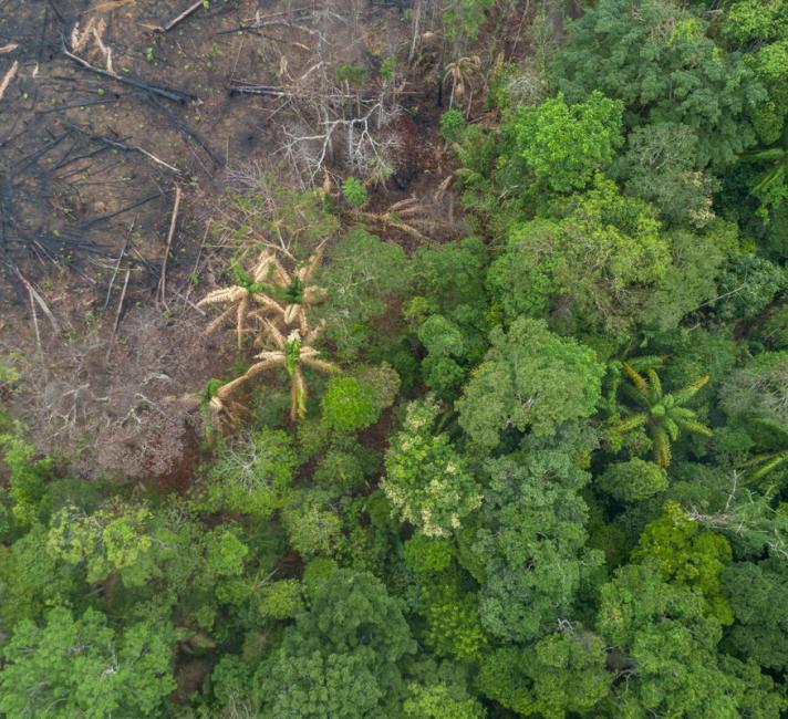 Aerial view of deforestation of the Amazon rainforest, in Maués, on december 11, 2020