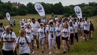 Great Wild Walks