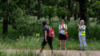 Great Wild Walks