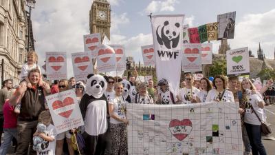 UN Climate Change Summit