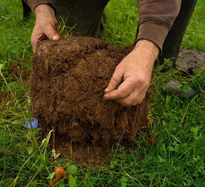 Regenerative farmer Hywel Morgan on his farm in Wales Regenerative farmer Hywel Morgan on his farm in Wales