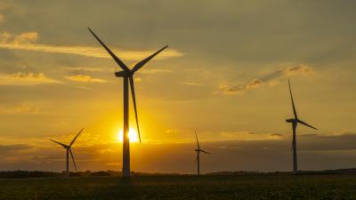 Wind turbines in Norfolk with sun setting behind