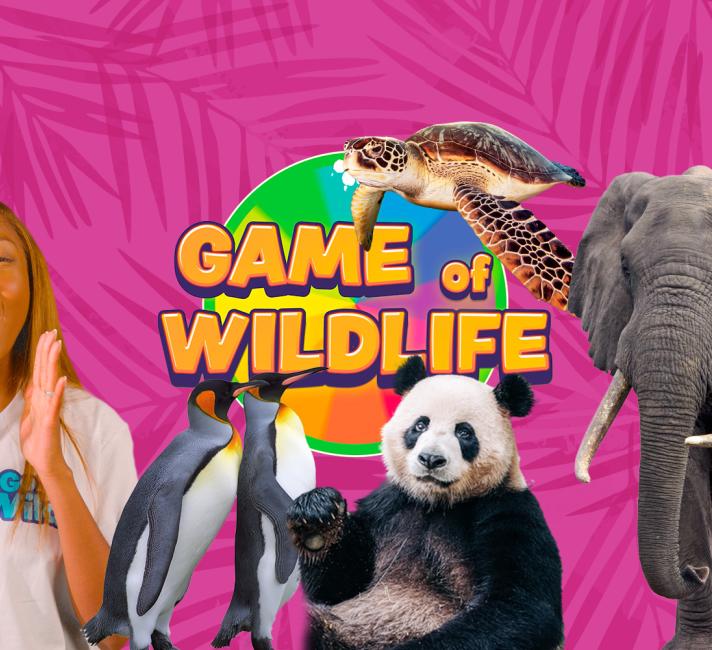 Game of Wildlife Game of Wildlife