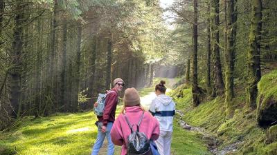 Group walking in forest