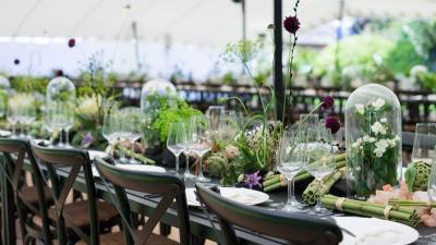 Dinner table set up