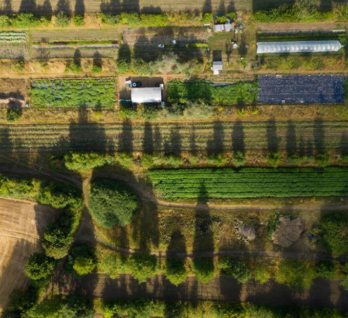 Ariel view of field showing regenerative farming practices