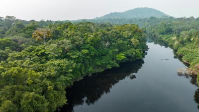Aerial view. A river in a tropical rainforest. Aerial view. A river in a tropical rainforest.
