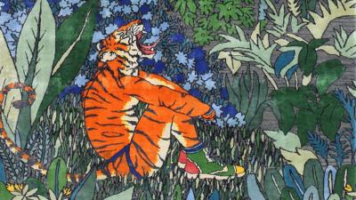 Ode to the Tigers of Bandhavgarh