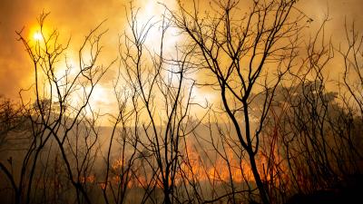 Fire in Brasília National Park, Brazil
