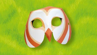 Barn owl Barn owl