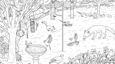 Garden colouring sheet Garden colouring sheet