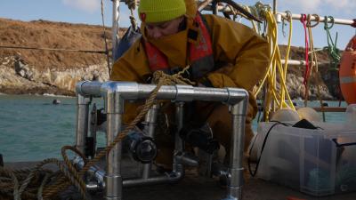 A member of the PEBL team monitors for biodiversity