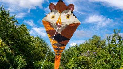 Tiger paper kite Tiger paper kite