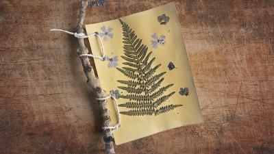GW Nature book