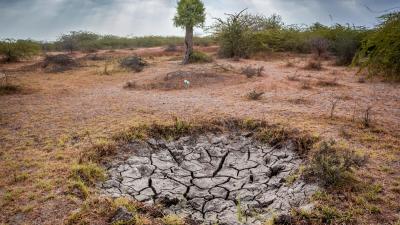 Dry land effected by drought in Gir forest of Gujarat state of India.