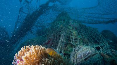 Ghost fishing net discarded by fishermen causing widespread damage to a coral reef in the Indian Ocean, Zanzibar