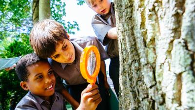 Kids exploring biodiversity at school