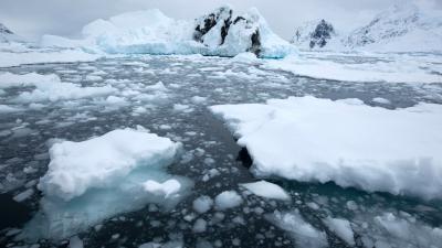 Drifting melting ice in the sea, Antarctica.