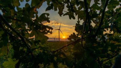 The sun sets behind a wind turbine, visible through a gap in the leaves. Norfolk, UK. The sun sets behind a wind turbine, visible through a gap in the leaves. Norfolk, UK.