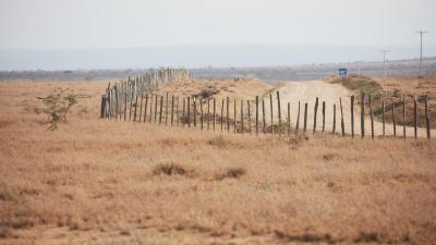 Fences constructed on the Loita plains.