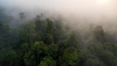 the Indonesian island of Sumatra