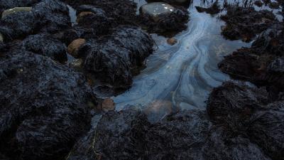 Oil in the Baltic Sea coast in Blekinge.