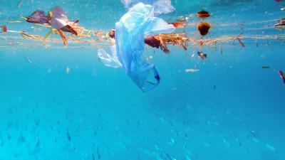 Plastic pollution in ocean, school of travel swims through discarded plastic rubbish.