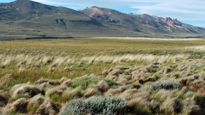 La Pampa landscape, Santa Cruz Province, Patagonia, Argentina.
