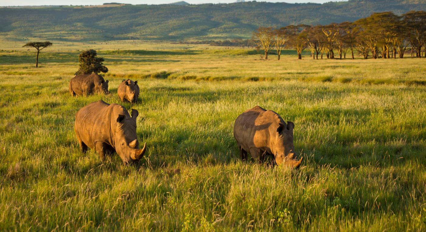 How well do you know your animal poo? | WWF