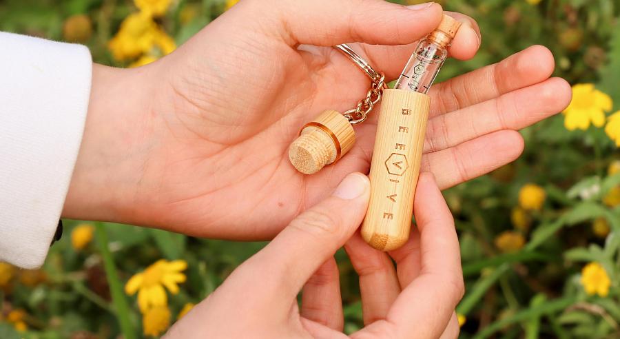 Bamboo bee revival kit