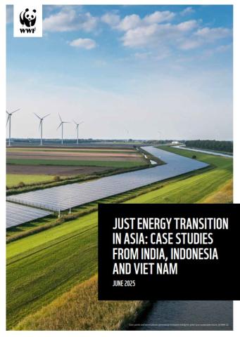 Just Energy Transition in Asia Case studies from India, Indonesia and ...