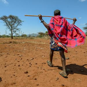 A local Maasai goat herder