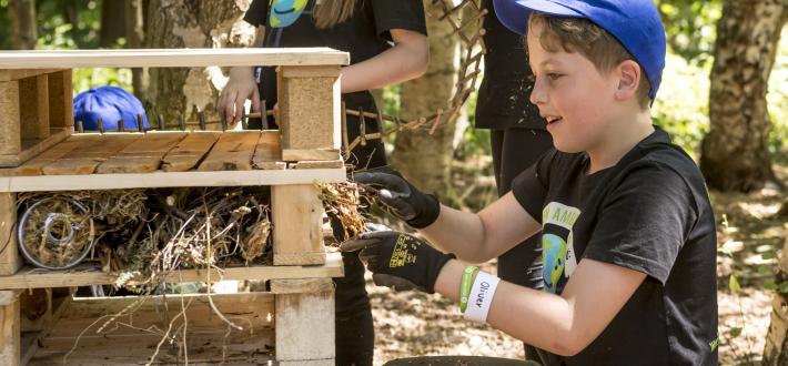 Create a bug hotel