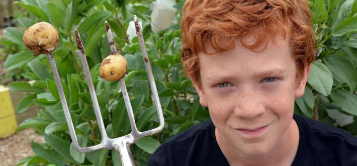 Growing food at school