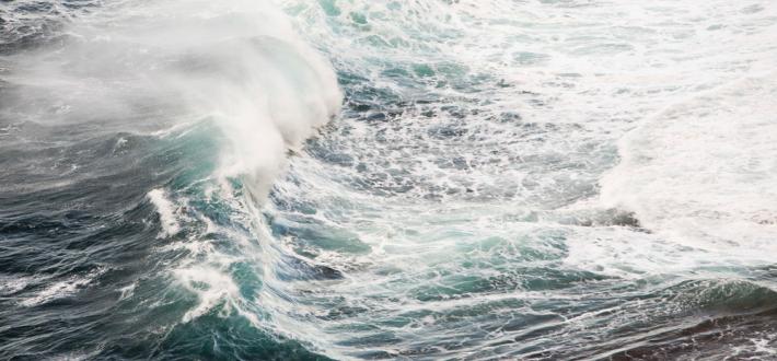 11. Commit to at least 30% of Scotland’s seas being highly protected, with at least 10% fully protected, by 2030 