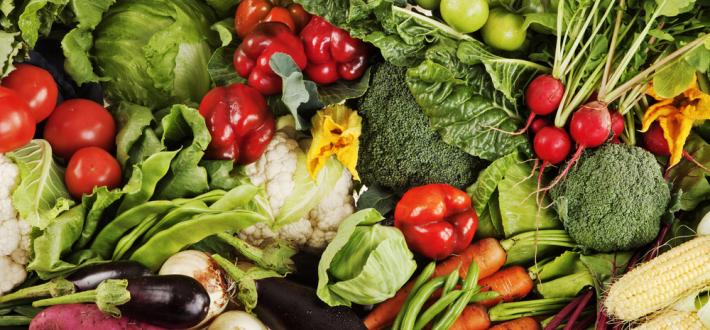 World Food Day Webinar