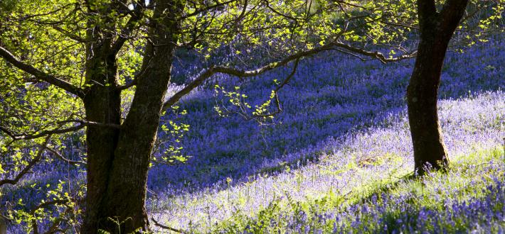 A Prescription for Nature