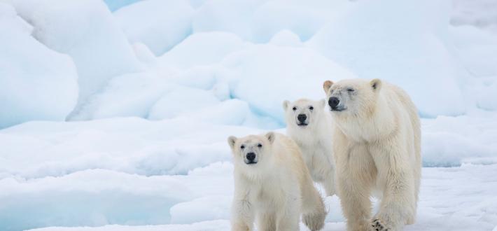 World Habitat Day 2024