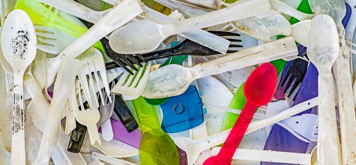 Single use plastic purchasing policy 2025