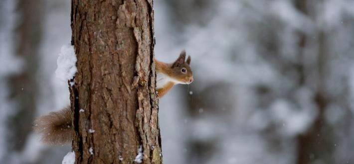 7 reasons to care about nature