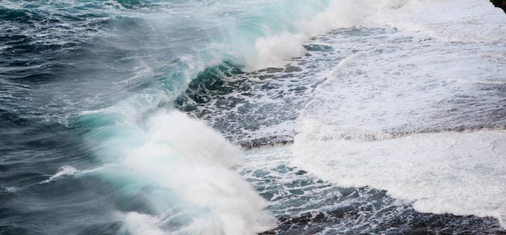 Harnessing Scotland's Natural Resources - Jan 2019