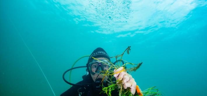 WWF Talks Coastal Seas