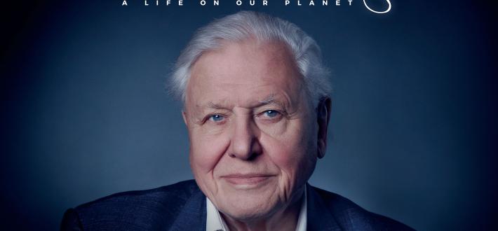 David Attenborough: A Life on Our Planet (88 minutes)